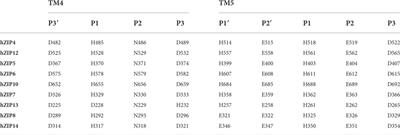 A computational study of the structure and function of human Zrt and Irt-like proteins metal transporters: An elevator-type transport mechanism predicted by AlphaFold2